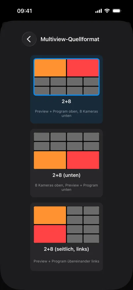 Auswahl des Multiview-Formats