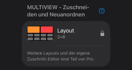 Layout-Auswahl mit Schloss für Pro